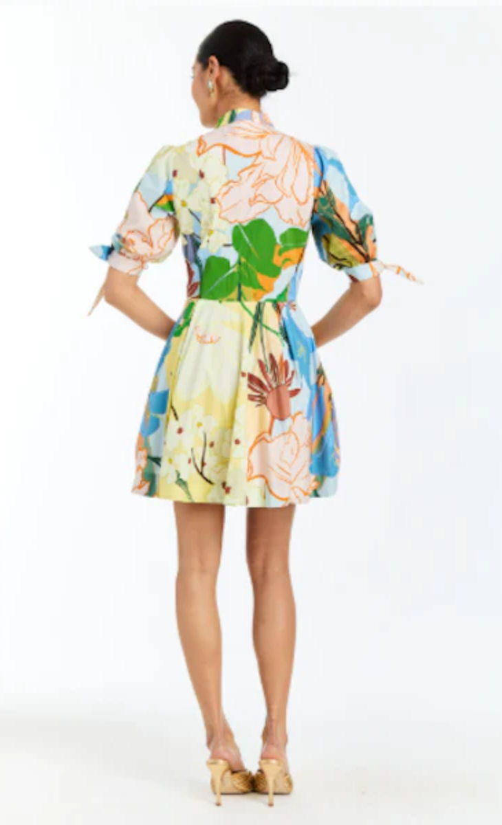 Brooklyn Mini Dress in Primrose Florals