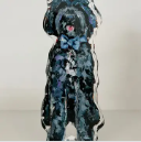 Dog Acrylic Block