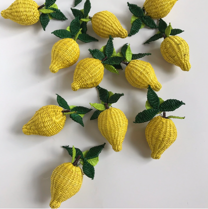 Iraca Woven Fruta &amp; Leaf Bloom Stud Earrings - Large