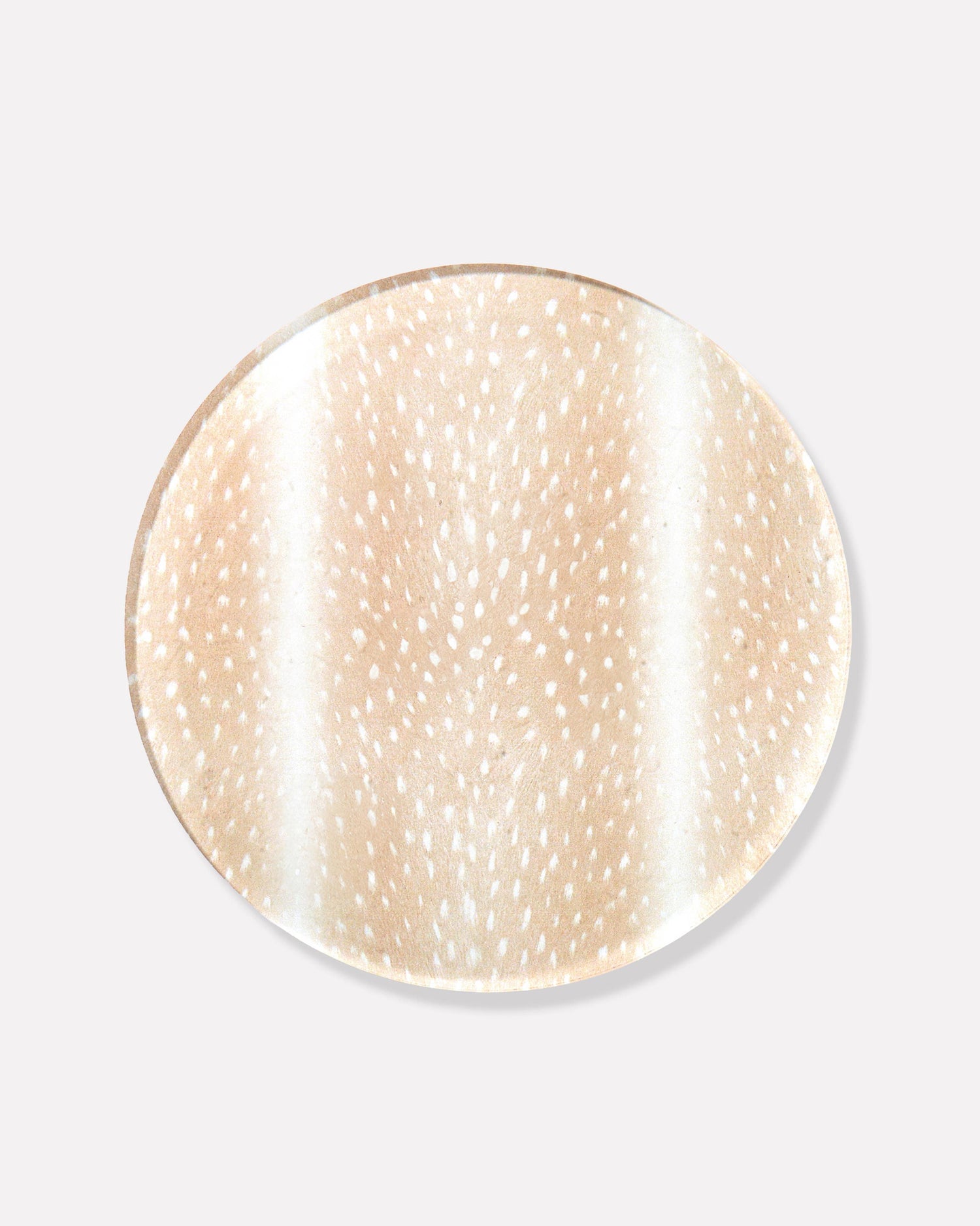 Fawn Print Coaster