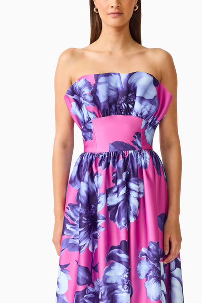 Sybella Maxi Gown in Blue Pink Floral