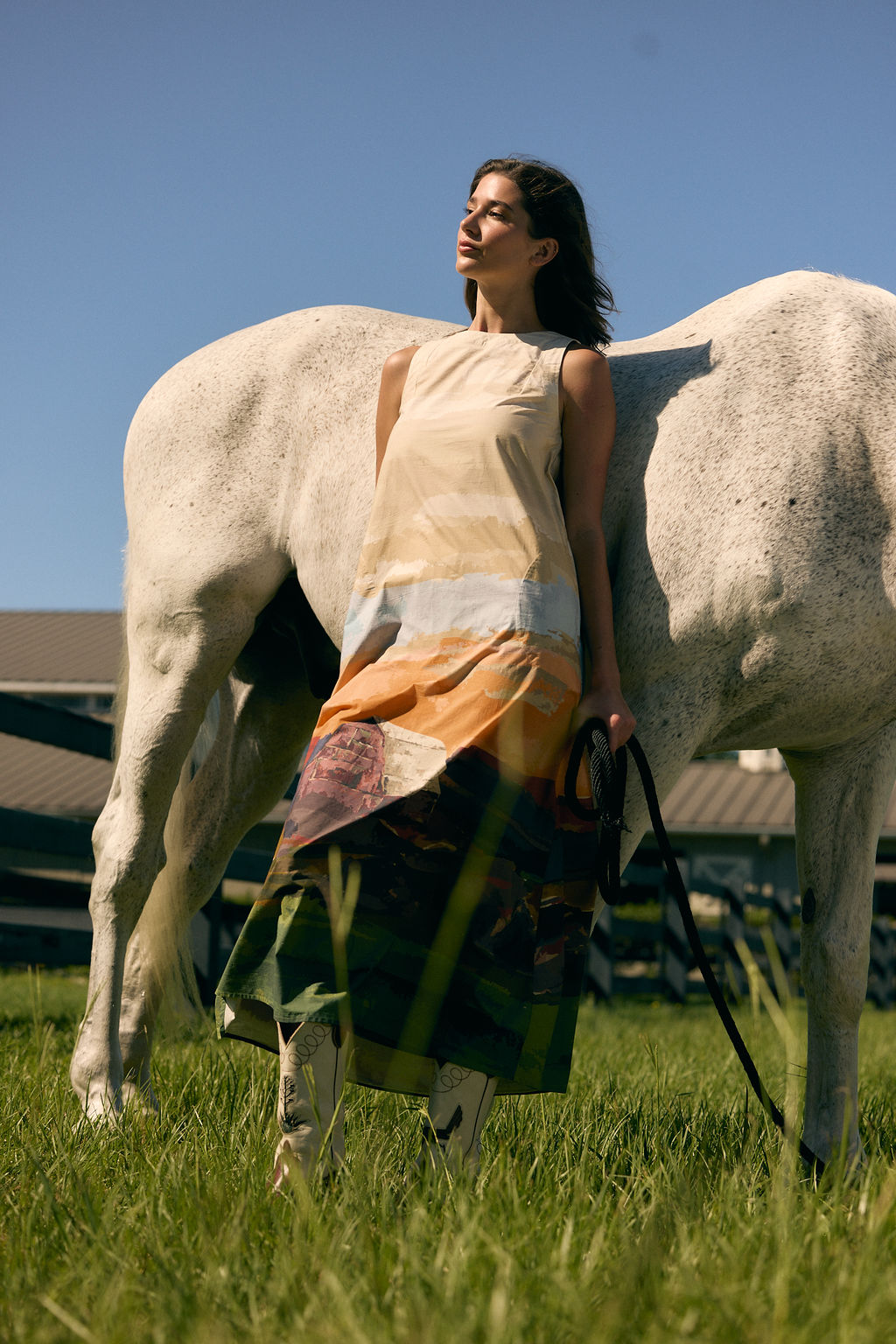 Dani Dress, Field Study