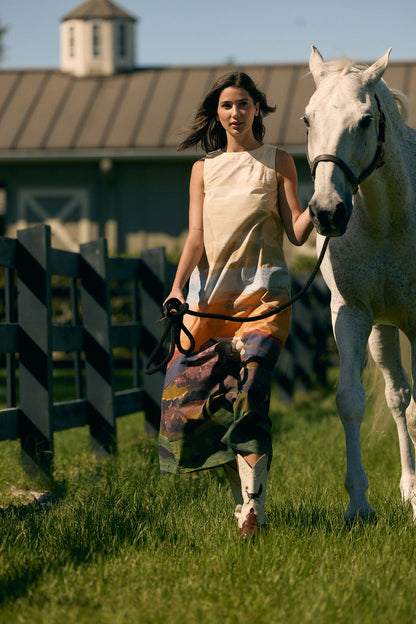 Dani Dress, Field Study