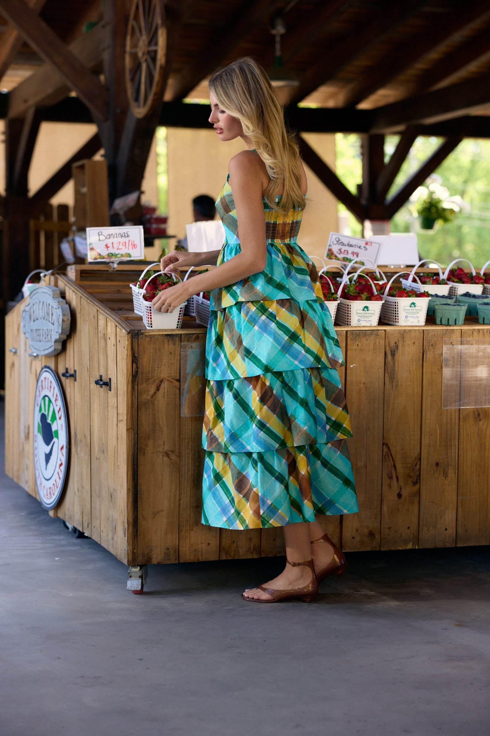 Ophelia Dress, Summit Check