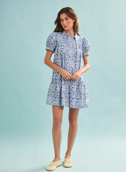 Drifter Mini Dress