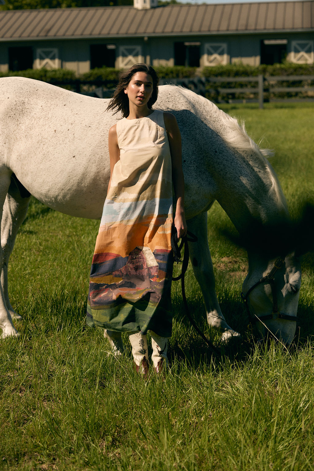Dani Dress, Field Study