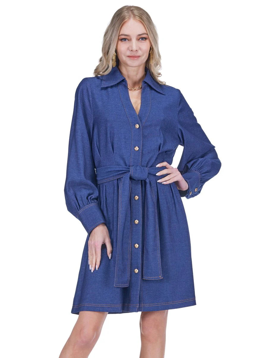 Collar Waist Pleated Shirtdress in Denim