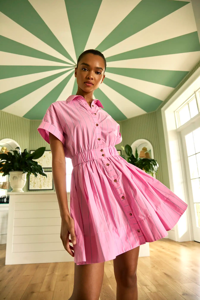 Howard Dress in Watermelon Stripe