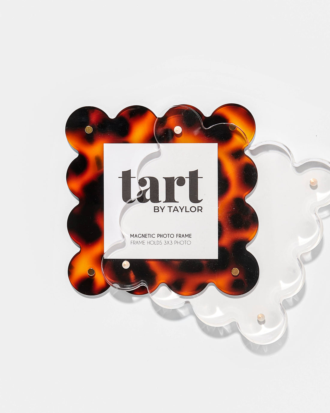 Tortoise Mini Acrylic Picture Frame