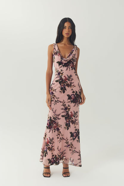 Blush/Multi