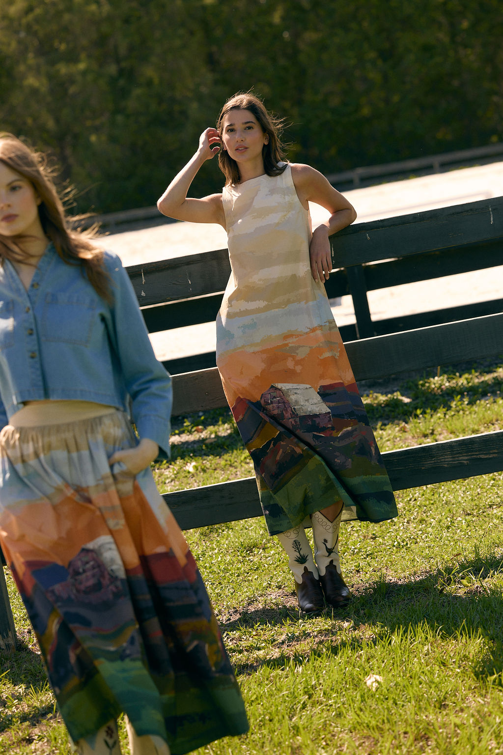 Dani Dress, Field Study
