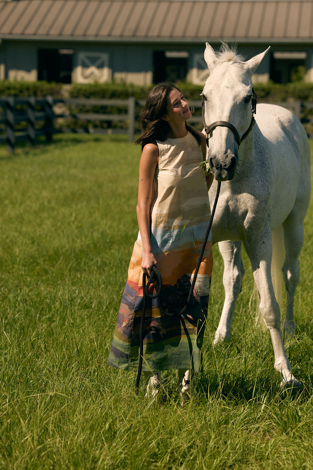 Dani Dress, Field Study