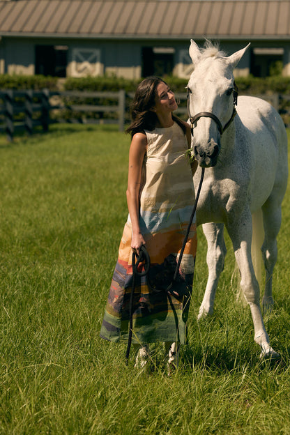 Dani Dress, Field Study